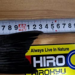 和歌山市江（吉丸渡船）でグレ釣り