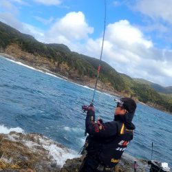 和歌山市江（吉丸渡船）でグレ釣り