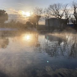 釣食浪漫 ~パターンを見極めろ!~