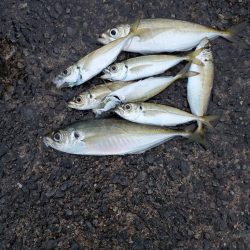 フロートアジング