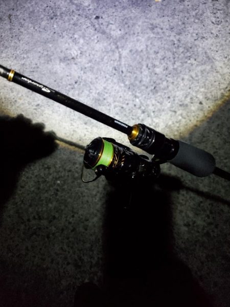 アジング　久しぶりの尺アジ