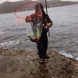 和歌山市江（吉丸渡船）でグレ釣り