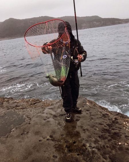 和歌山市江（吉丸渡船）でグレ釣り