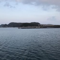 2024年エギングスタート!! 水温低い中なんとか1杯