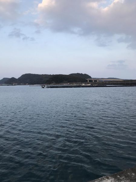 2024年エギングスタート!! 水温低い中なんとか1杯