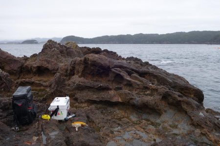 雨で厳しい釣りでした…