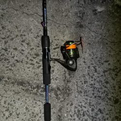 毎年2月の釣果が出せていなかったので