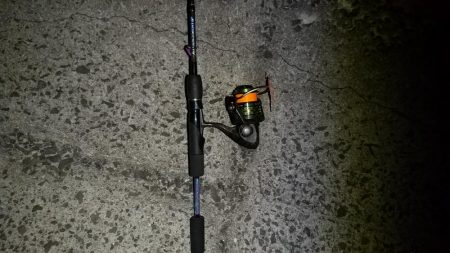 毎年2月の釣果が出せていなかったので