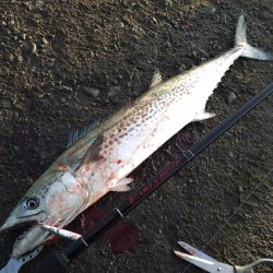 牙のある長いやつ