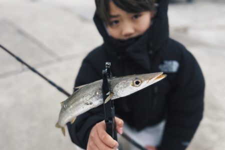 カマス爆沸き‼︎アジも入れ食…