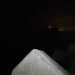 ロックフィッシュ