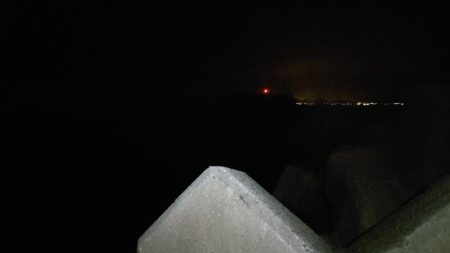 ロックフィッシュ