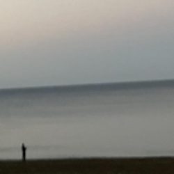 ２年振りの座布団ヒラメ