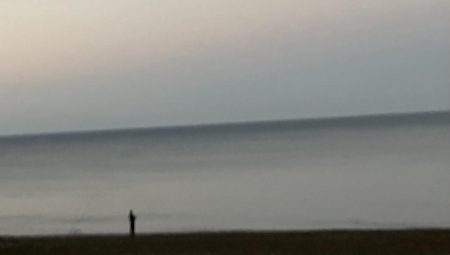 ２年振りの座布団ヒラメ