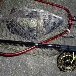 2024/02/10 南港ヘチ釣り釣行