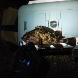 マイクロジギング