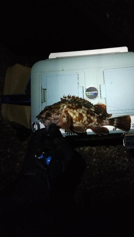 マイクロジギング