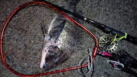 2024/02/16 南港ヘチ釣り釣行 （…