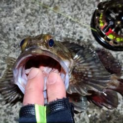 2024/02/23 南港ヘチ釣り釣行