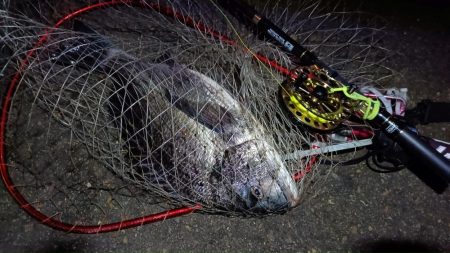 2024/02/25 南港ヘチ釣り釣行