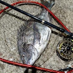 2024/02/28 南港ヘチ釣り釣行