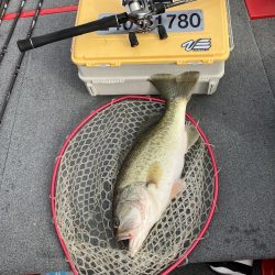 北山田初バス55cm