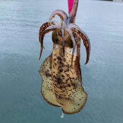 ほんとに2月ですか？