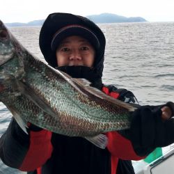 泉州丸 釣果