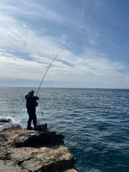 和歌山市江（吉丸渡船）でグレ釣り