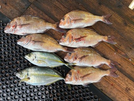 あなたに逢い鯛釣り堀　夕まずめコース