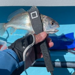 今月末で閉業との事