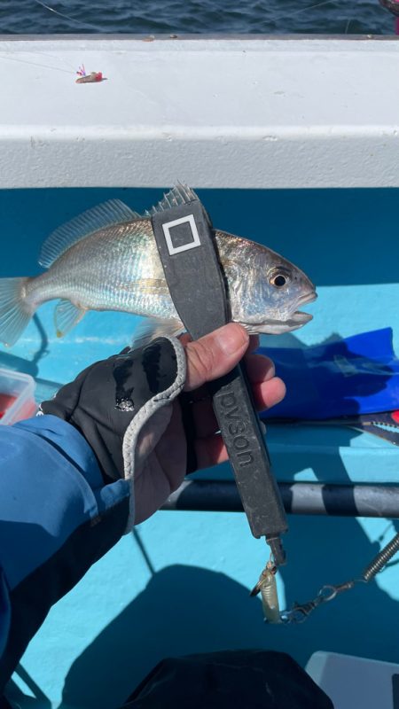 今月末で閉業との事