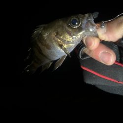 つらかったーーー