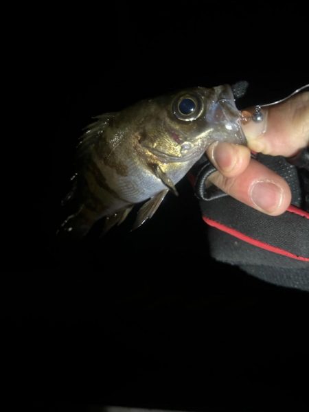 つらかったーーー