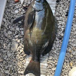 新規開拓したよ