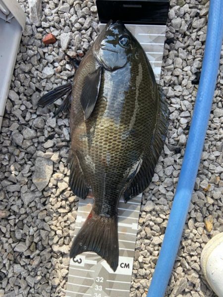 新規開拓したよ