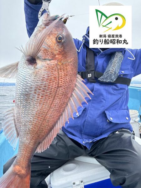 新潟寝屋港の釣り船昭和丸　真鯛、甘鯛タイラ…