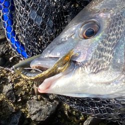 バイトは多数あれど