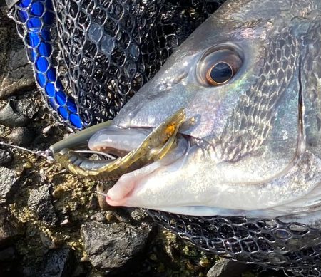 バイトは多数あれど