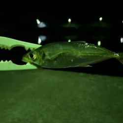 和歌山遠征😎😎