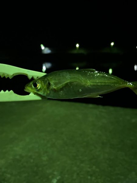 和歌山遠征😎😎