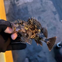 何とかライトゲーム成立の四日市