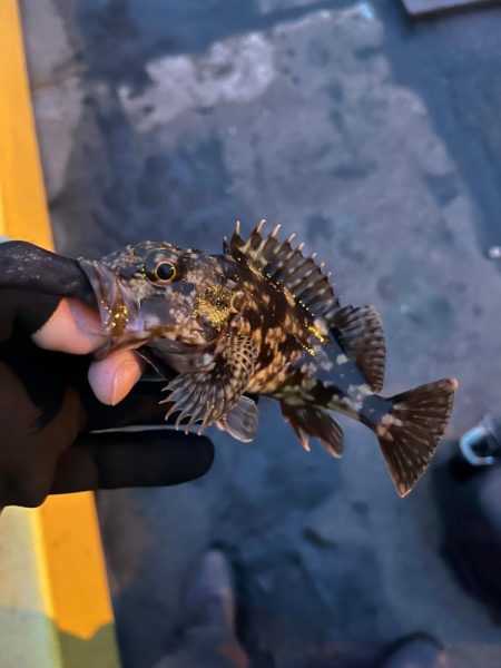 何とかライトゲーム成立の四日市