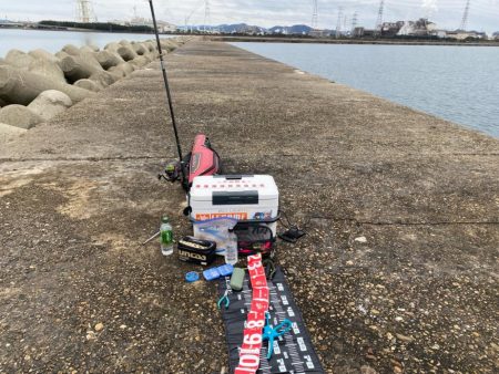 寒チヌ難しい。