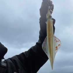 雨にも負けず！！