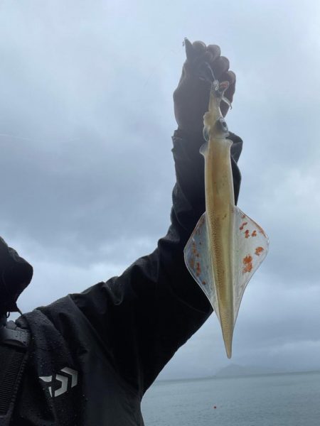 雨にも負けず！！