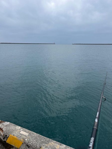 やっと鰤サイズ