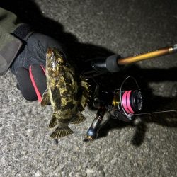 穏やかでした、、、