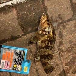 アタリはあるがなかなか乗らず