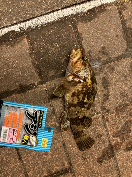 アタリはあるがなかなか乗らず